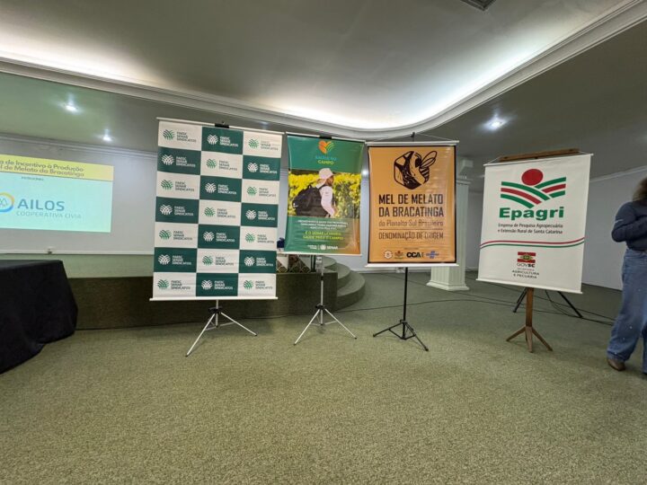 Evento sobre produção de mel fortalece o setor agrícola na Promosul