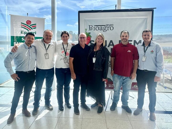 Epagri de Monte Castelo realiza reunião técnica sobre o cultivo do morango
