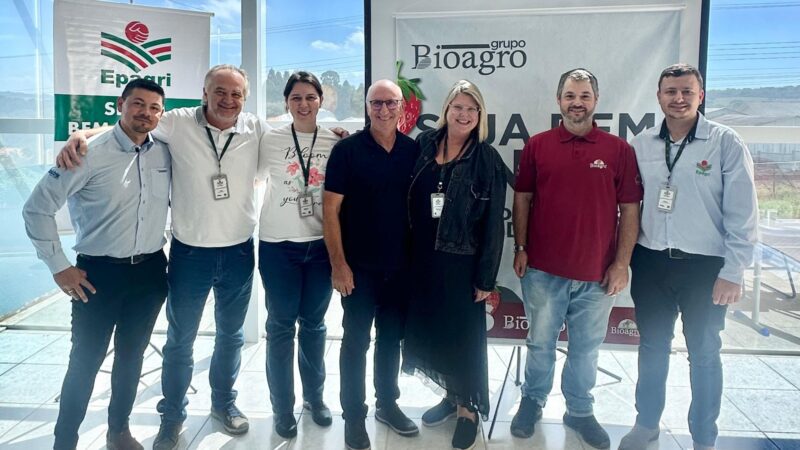 Epagri de Monte Castelo realiza reunião técnica sobre o cultivo do morango