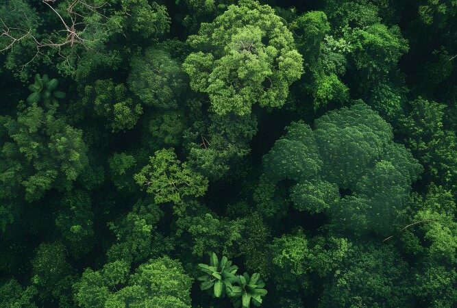 BRDE reforça oferta de crédito climático com atendimento ao Fundo Clima
