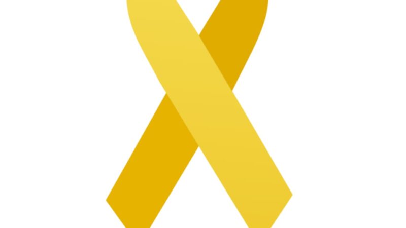 São Bento do Sul promove programação especial do Maio Amarelo com ações educativas e de lazer