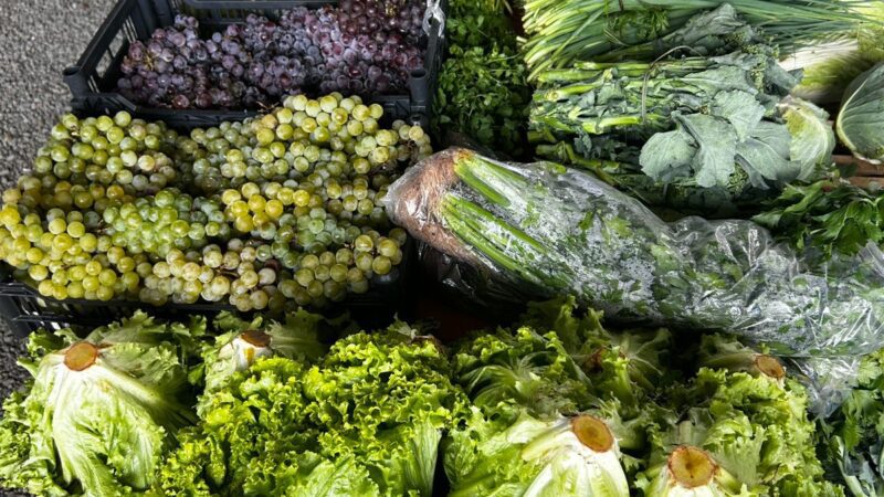 Ação do Câmbio Verde arrecada 4,6 toneladas de recicláveis no bairro Serra Alta