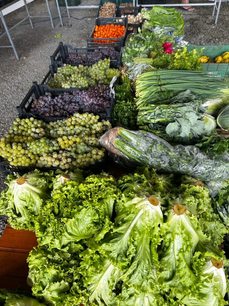 Ação do Câmbio Verde arrecada 4,6 toneladas de recicláveis no bairro Serra Alta