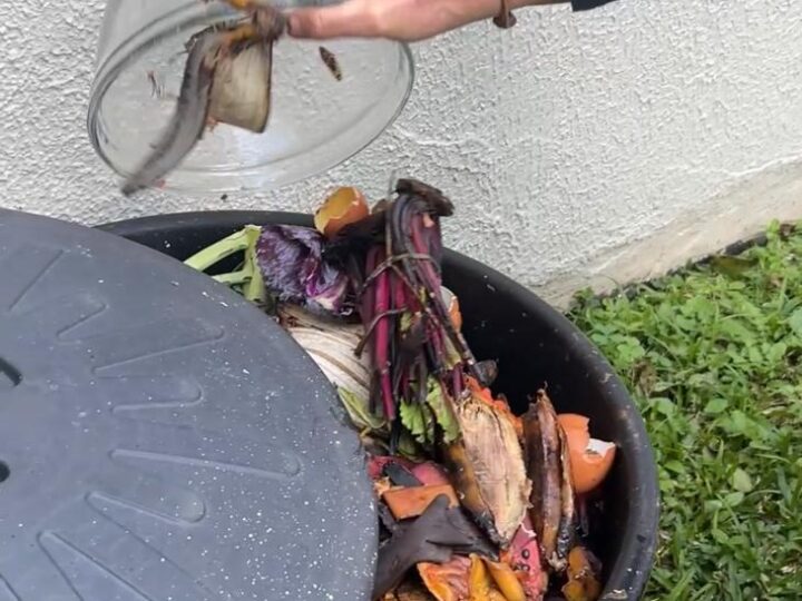Curso gratuito de compostagem será realizado no Centro da Mulher em São Bento do Sul