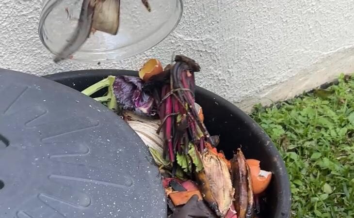 Curso gratuito de compostagem será realizado no Centro da Mulher em São Bento do Sul