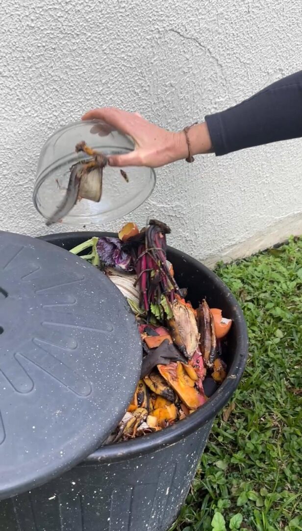Curso gratuito de compostagem será realizado no Centro da Mulher em São Bento do Sul