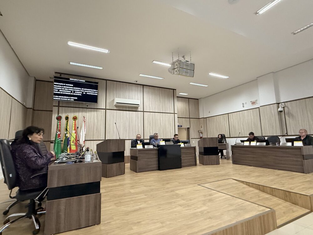 17ª Sessão da Câmara: Emenda de R$ 300 Mil, Apoio aos Autistas e Demandas dos Bairros e Localidades Interioranas em Pauta