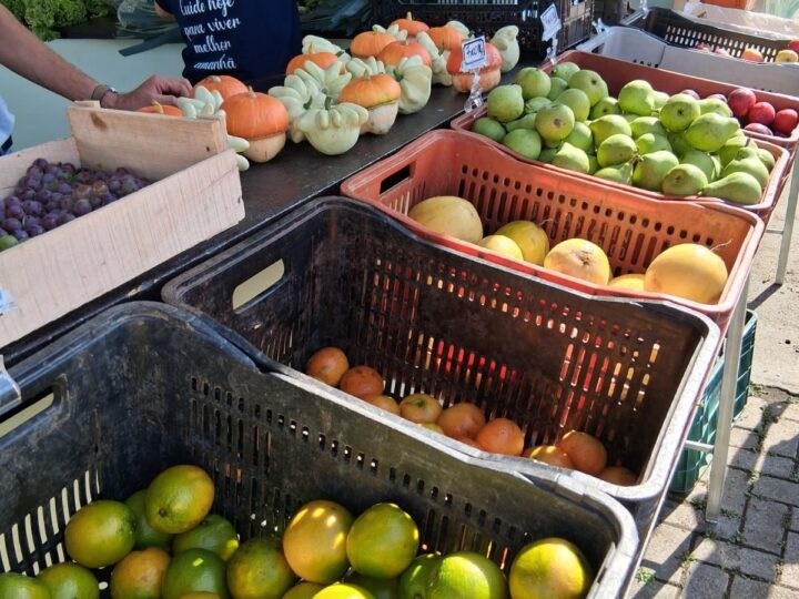 Câmbio Verde terá duas edições nesta semana em São Bento do Sul