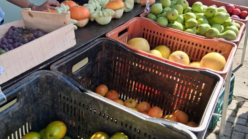 Câmbio Verde terá duas edições nesta semana em São Bento do Sul