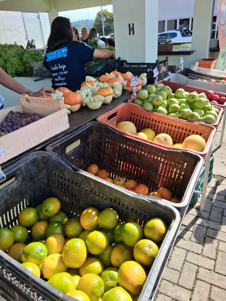 Câmbio Verde terá duas edições nesta semana em São Bento do Sul