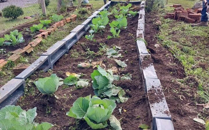 Resíduos ganham nova vida nas hortas comunitárias de São Bento do Sul