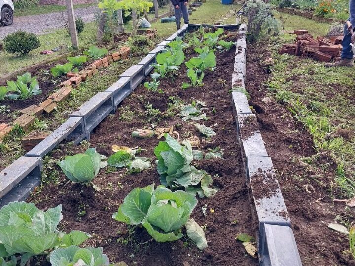 Resíduos ganham nova vida nas hortas comunitárias de São Bento do Sul
