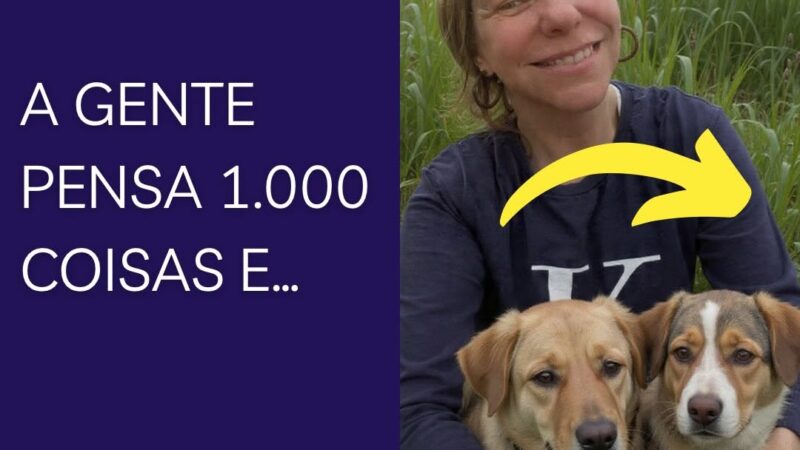 Vereadora Cátia convoca população para manifestação em defesa da causa animal em São Bento do Sul