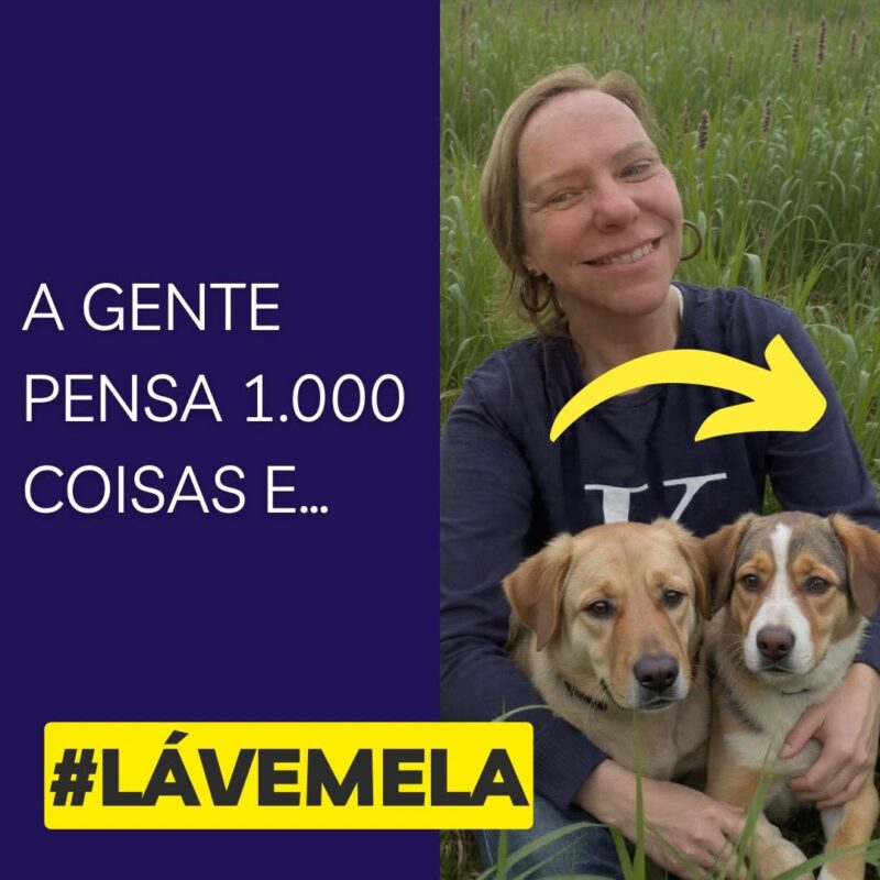 Vereadora Cátia convoca população para manifestação em defesa da causa animal em São Bento do Sul