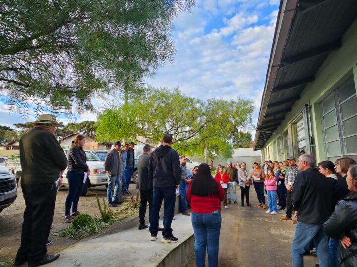 Prefeitura De Campo Alegre Realiza Entrega De Mudas Frutíferas A Agricultores Familiares Do Município