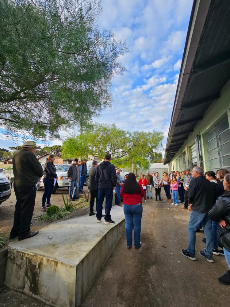 Prefeitura De Campo Alegre Realiza Entrega De Mudas Frutíferas A Agricultores Familiares Do Município