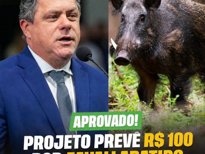 Deputado Ivan Naatz informa que foi aprovado na ALESC o projeto prevê incentivo para controle do javali-europeu em Santa Catarina