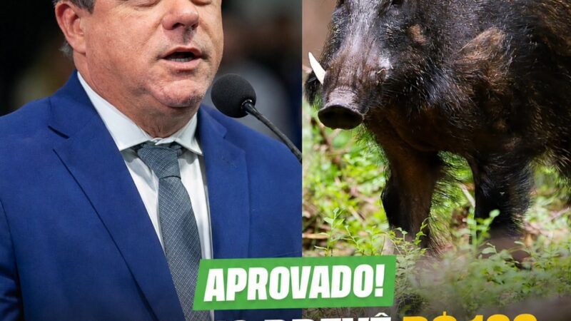 Deputado Ivan Naatz informa que foi aprovado na ALESC o projeto prevê incentivo para controle do javali-europeu em Santa Catarina