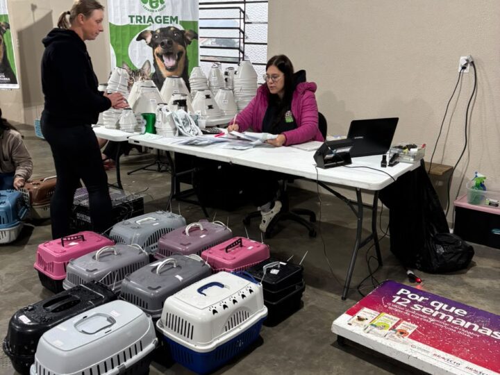 Mutirão do Programa Pet Levado a Sério castra 280 animais e zera fila de espera em São Bento do Sul