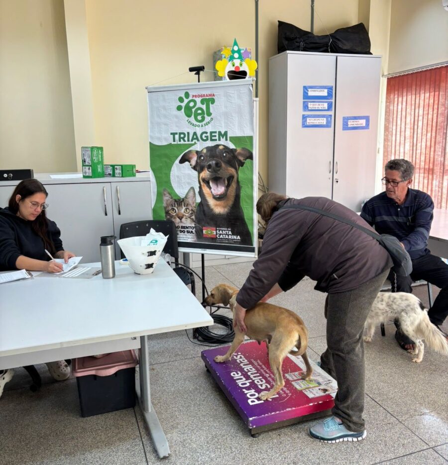 Programa Pet Levado a Sério ainda possui 50 vagas em aberto para mutirão de castração dos bairros Cruzeiro, Oxford e região 