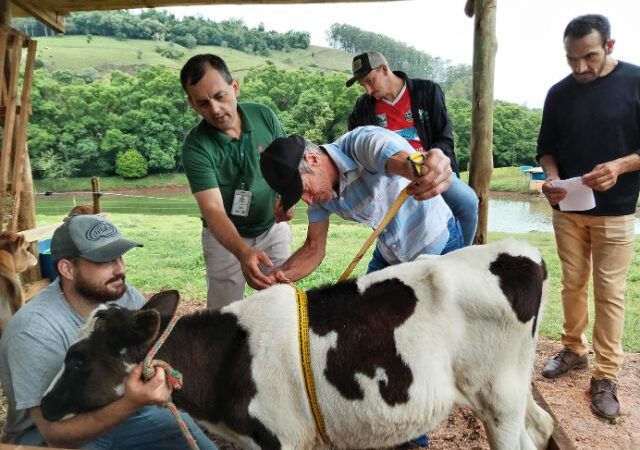 Santa Terezinha promove Seminário de Pecuária no dia 17 de julho com palestras e visita técnica