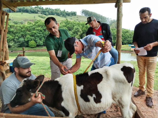Santa Terezinha promove Seminário de Pecuária no dia 17 de julho com palestras e visita técnica