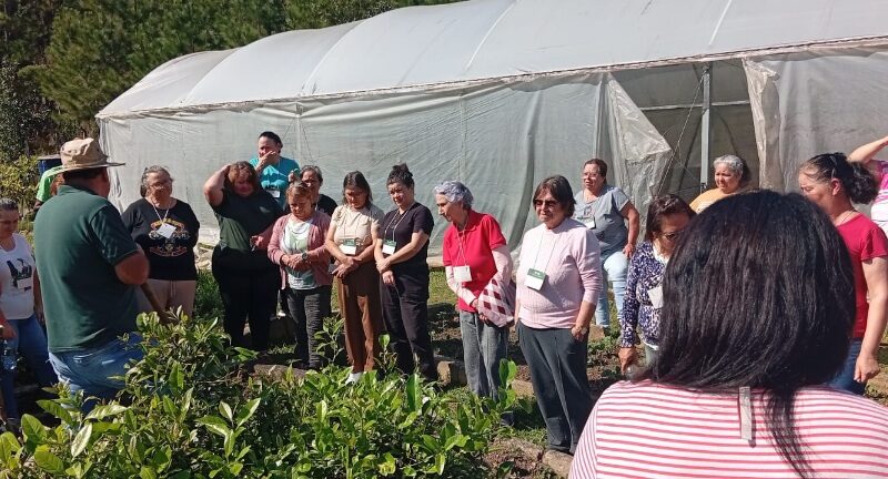 Secretaria de Assistência Social e Senar promovem formação para participantes das hortas comunitárias