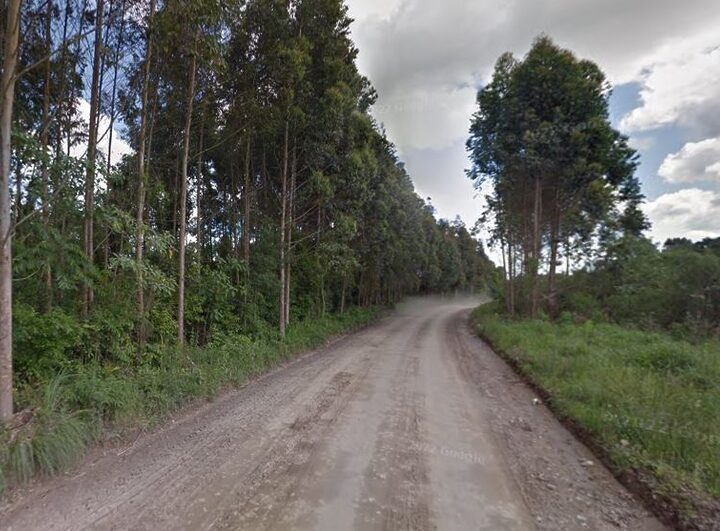 Estado avança em nova etapa do projeto da SC-114 entre Santa Terezinha e Itaiópolis