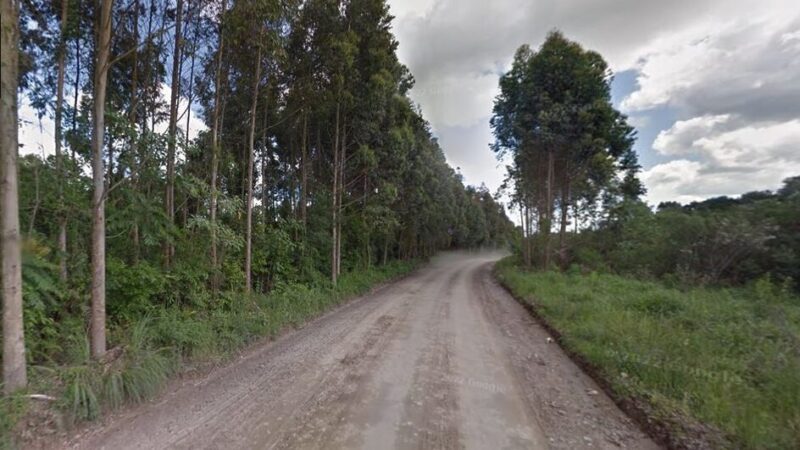 Estado avança em nova etapa do projeto da SC-114 entre Santa Terezinha e Itaiópolis