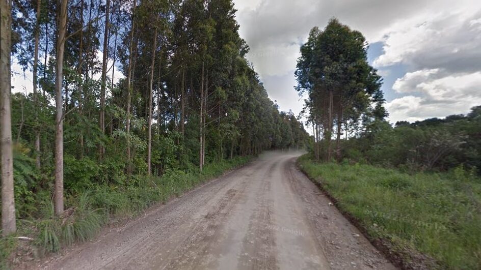 Estado avança em nova etapa do projeto da SC-114 entre Santa Terezinha e Itaiópolis