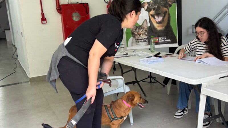 Programa Pet Levado a Sério conclui 5ª etapa com 300 castrações