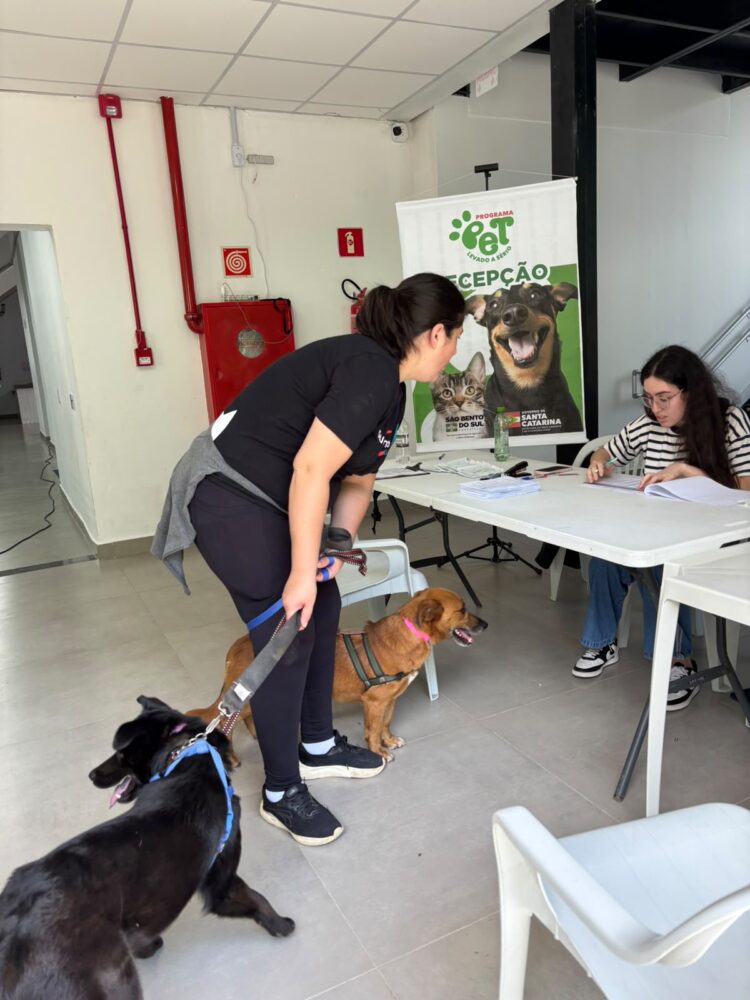Programa Pet Levado a Sério conclui 5ª etapa com 300 castrações