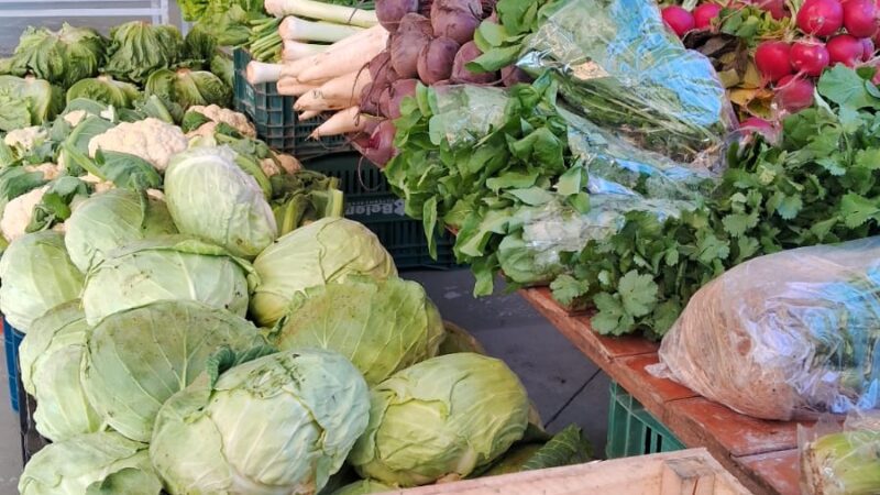 Programa Câmbio Verde terá três novas edições ainda neste mês