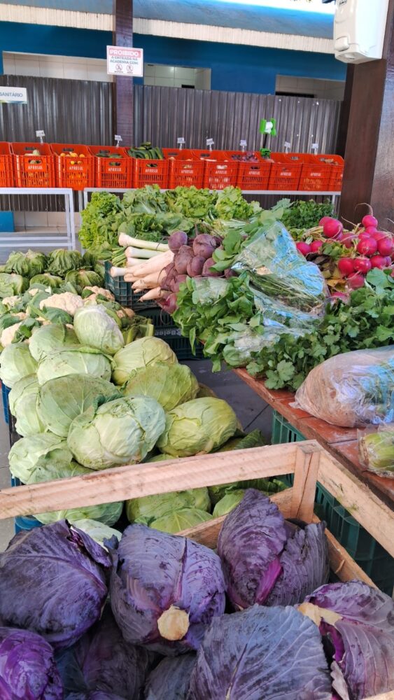 Programa Câmbio Verde terá três novas edições ainda neste mês