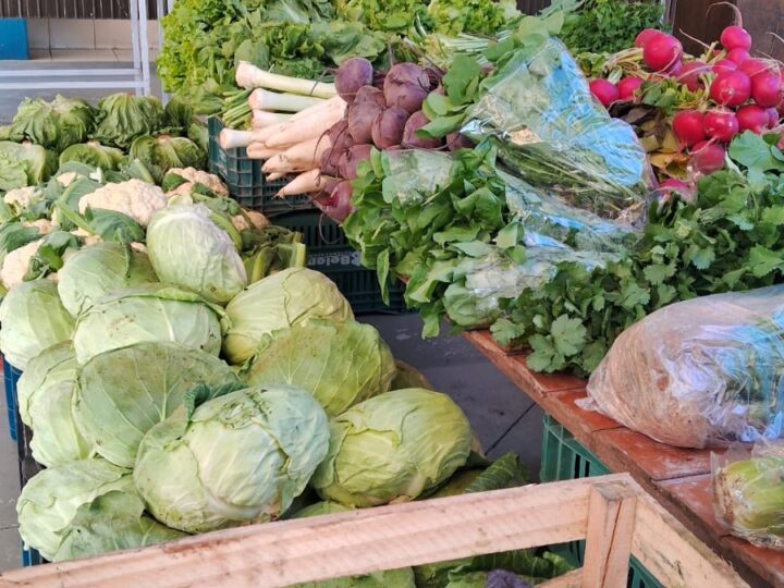 Câmbio Verde acontece nesta sexta-feira no bairro Cruzeiro