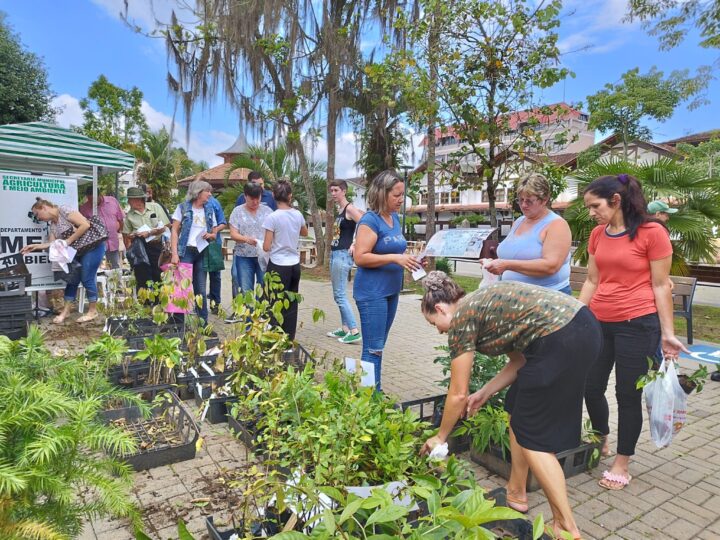 SEMAM participa da Festa Viva São Bento com distribuição de mudas