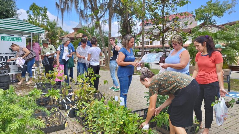 SEMAM participa da Festa Viva São Bento com distribuição de mudas