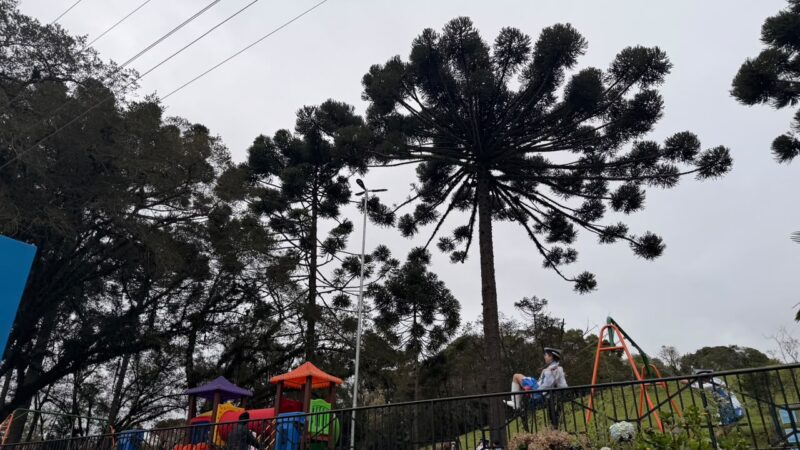 São Bento do Sul inaugura novo Ecoparque no bairro Cruzeiro