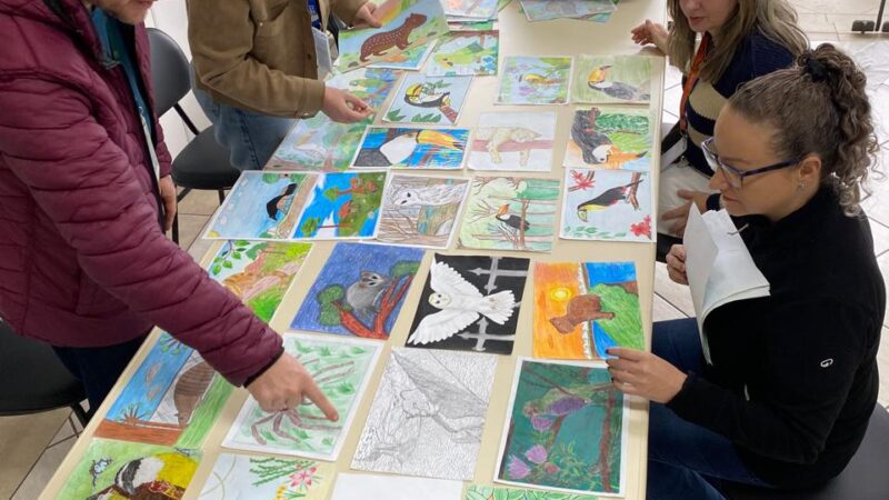 Concurso “Eu Curto a Mata Atlântica” reúne 1.938 desenhos na 5ª edição