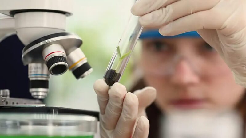 Programa oferece vagas para alunas e professoras em laboratórios