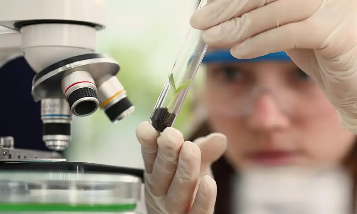 Programa oferece vagas para alunas e professoras em laboratórios