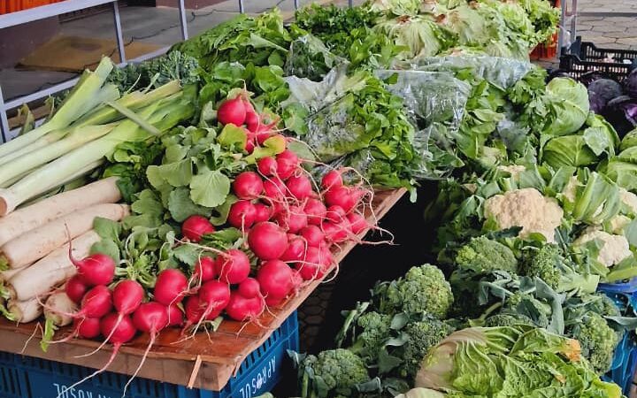 Câmbio Verde recolhe mais de 6,6 toneladas de materiais recicláveis