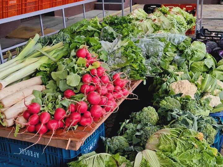 Câmbio Verde recolhe mais de 6,6 toneladas de materiais recicláveis
