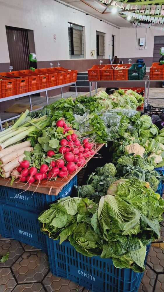 Câmbio Verde recolhe mais de 6,6 toneladas de materiais recicláveis