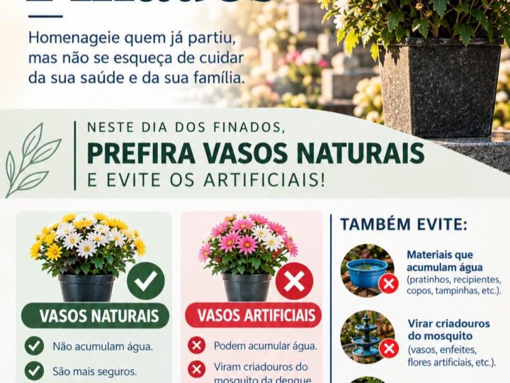 Dia de Finados: Prefeitura de Santa Terezinha orienta sobre prevenção à dengue nos cemitérios