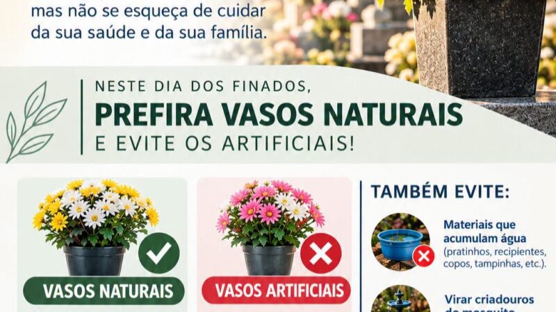 Dia de Finados: Prefeitura de Santa Terezinha orienta sobre prevenção à dengue nos cemitérios