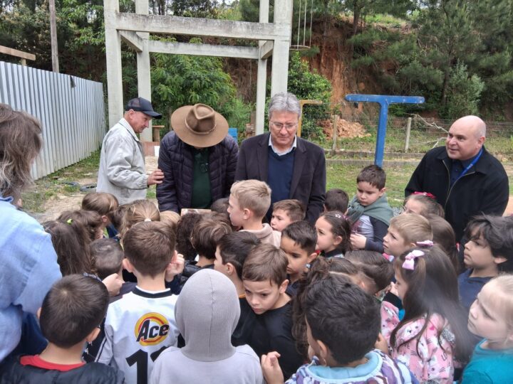 Projeto Zum Zum da Vida leva abelhas sem ferrão às escolas de São Bento do Sul