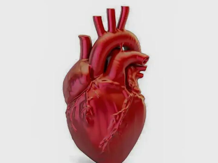 Brasil registra uma morte por doença cardiovascular a cada 72 segundos