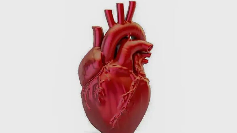 Brasil registra uma morte por doença cardiovascular a cada 72 segundos