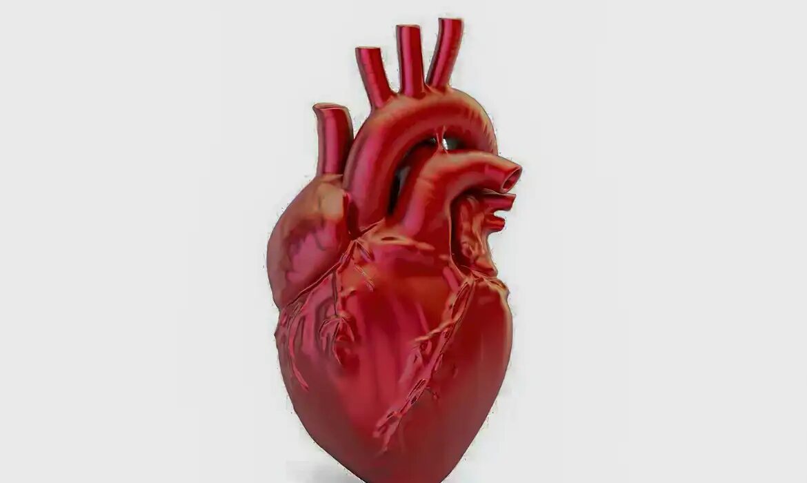 Brasil registra uma morte por doença cardiovascular a cada 72 segundos